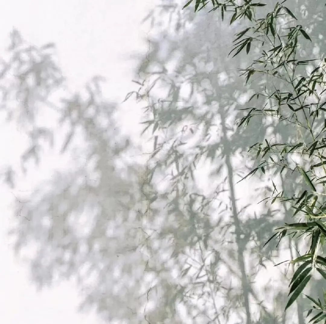 图片[6]-“微信置顶短句，永不过时”-永豪博客