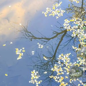 实用网站收藏-永豪博客