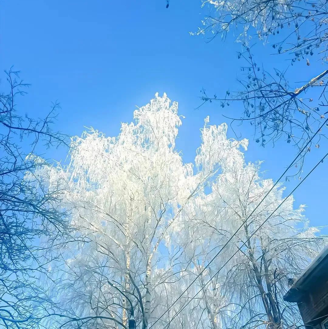 图片[8]-“微信置顶短句，永不过时”-永豪博客