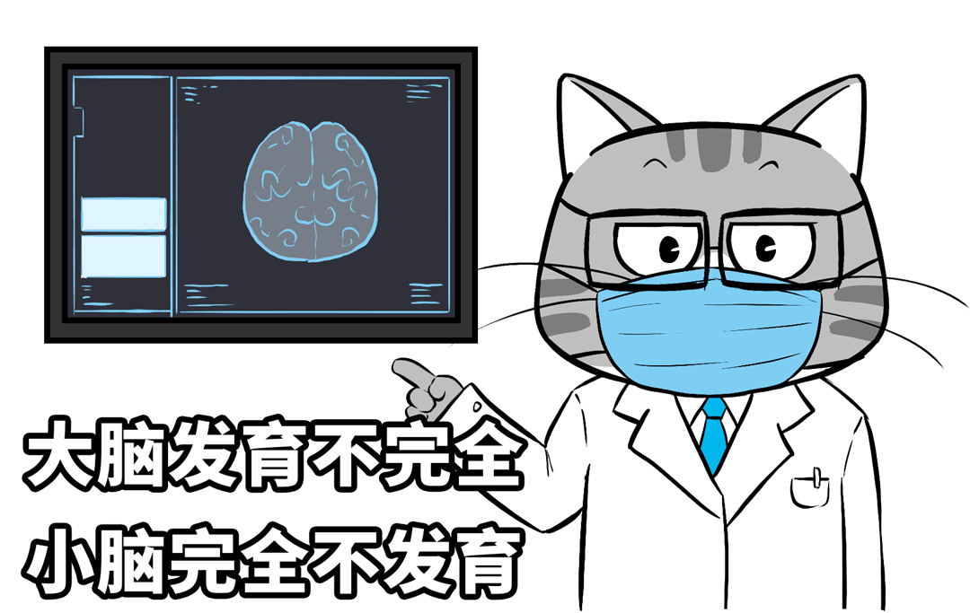 图片[8]-一道电梯题，暴打国产大模型！-永豪博客