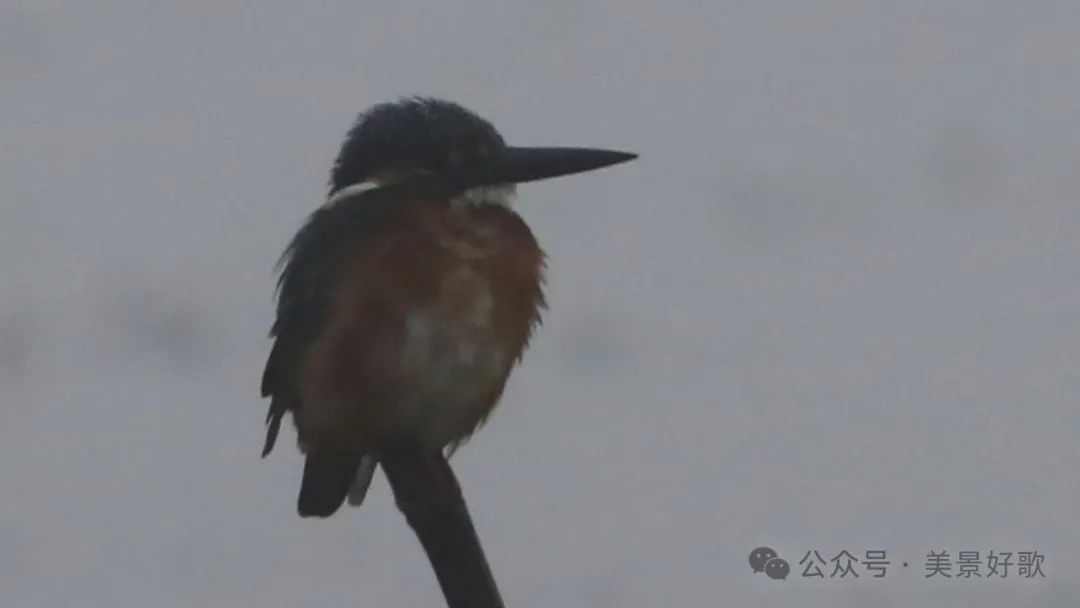 图片[27]-黑颈鹤的越冬地：威宁草海-永豪博客