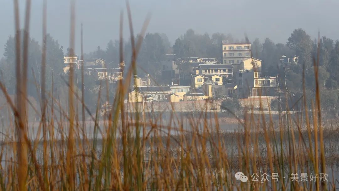 图片[5]-黑颈鹤的越冬地：威宁草海-永豪博客