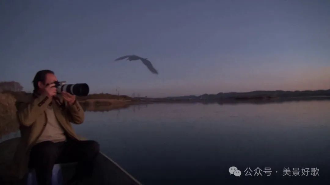 图片[50]-黑颈鹤的越冬地：威宁草海-永豪博客