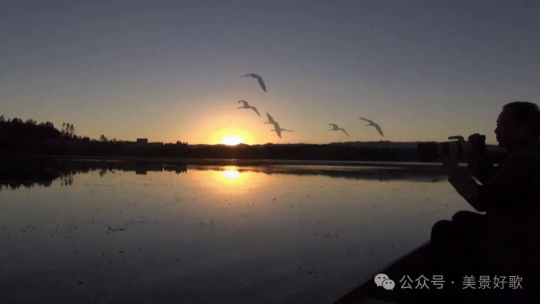 图片[13]-黑颈鹤的越冬地：威宁草海-永豪博客