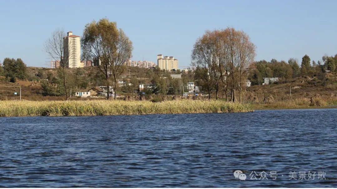 图片[3]-黑颈鹤的越冬地：威宁草海-永豪博客