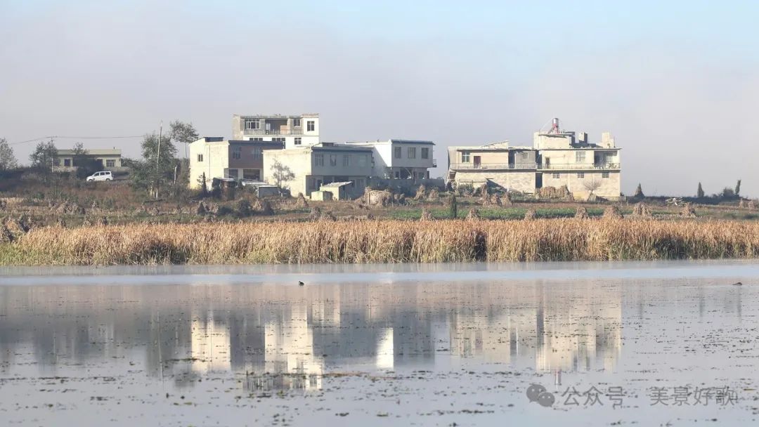 图片[4]-黑颈鹤的越冬地：威宁草海-永豪博客