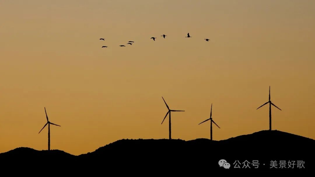 图片[52]-黑颈鹤的越冬地：威宁草海-永豪博客