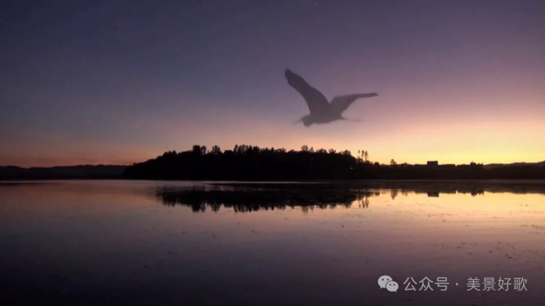 图片[47]-黑颈鹤的越冬地：威宁草海-永豪博客