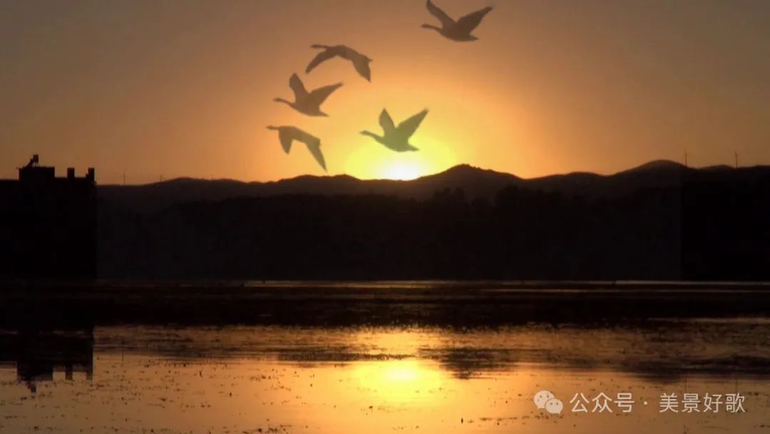 图片[48]-黑颈鹤的越冬地：威宁草海-永豪博客