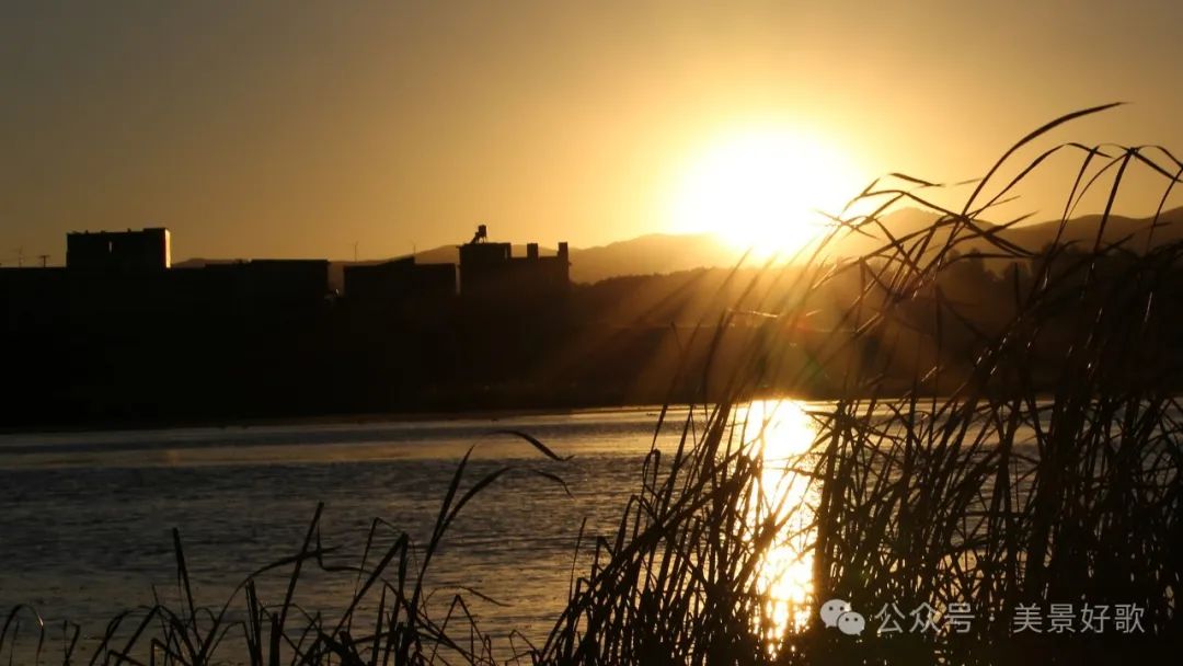 图片[11]-黑颈鹤的越冬地：威宁草海-永豪博客