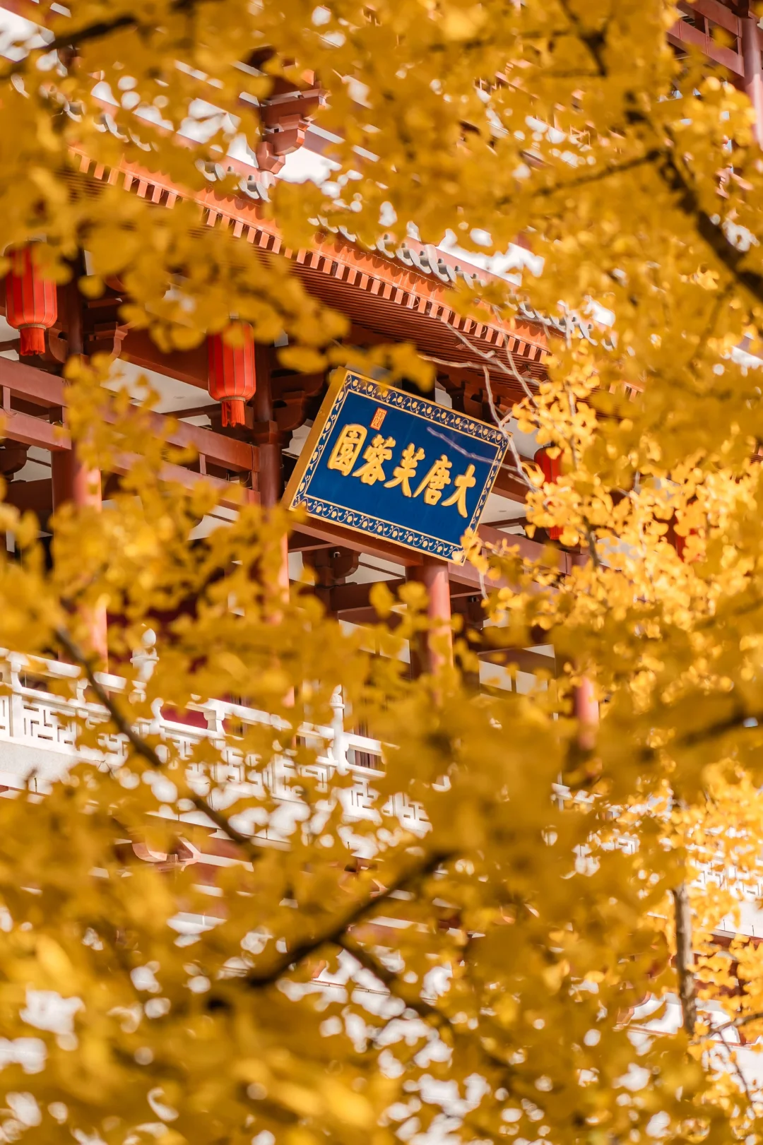 图片[38]-美到窒息！一入秋，中国就穿越了千年。-永豪博客