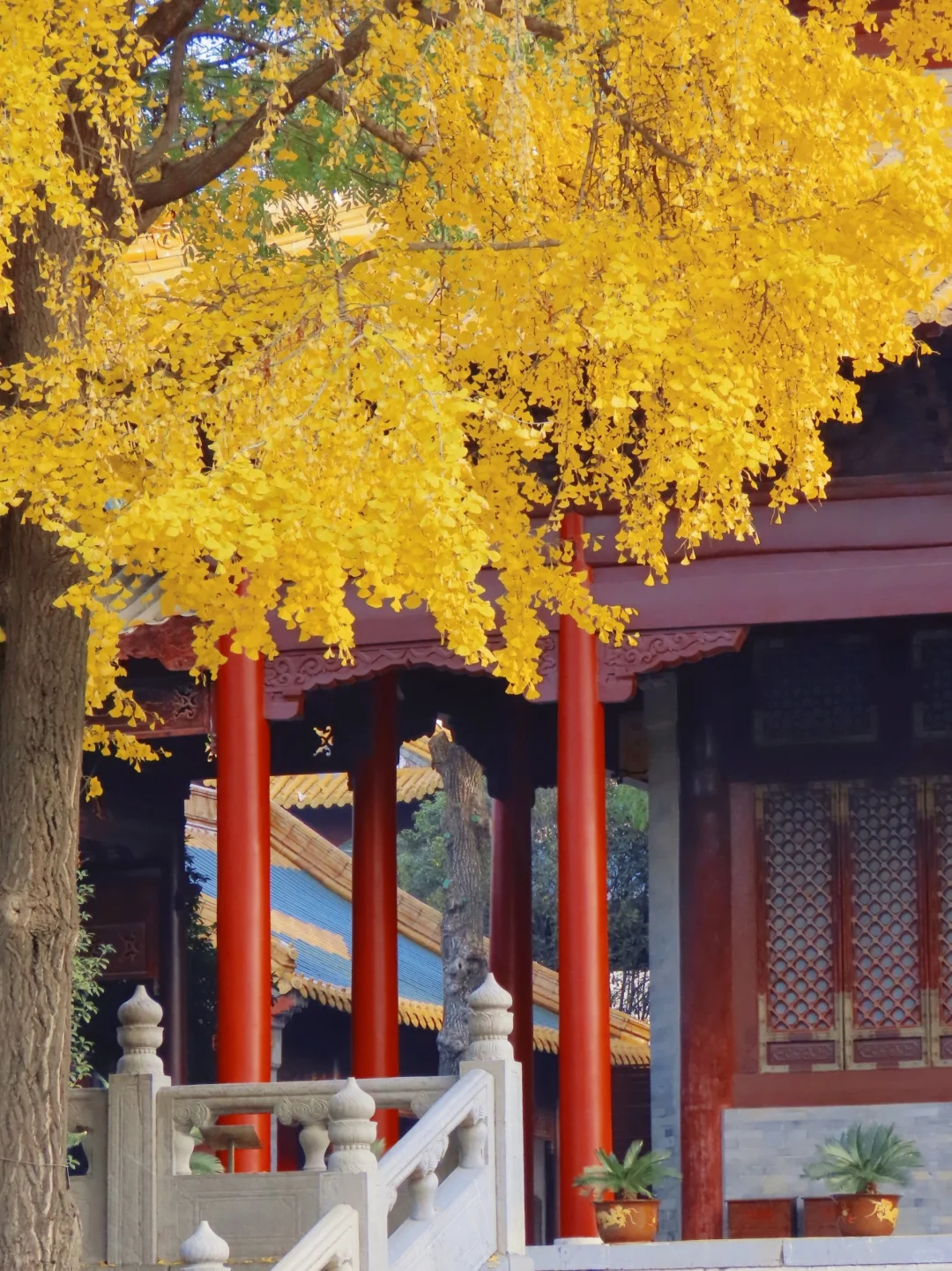 图片[28]-美到窒息！一入秋，中国就穿越了千年。-永豪博客