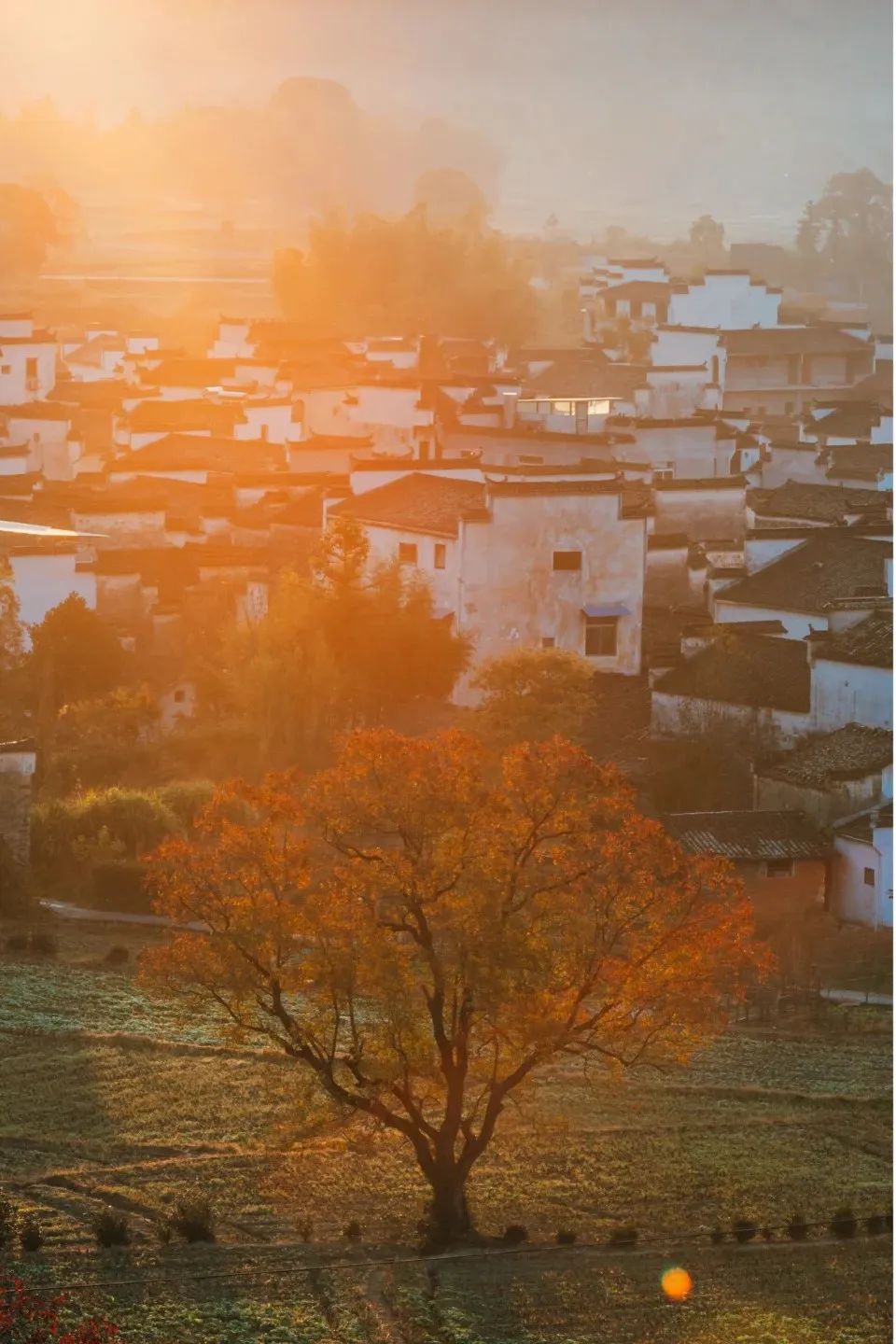 图片[34]-美到窒息！一入秋，中国就穿越了千年。-永豪博客
