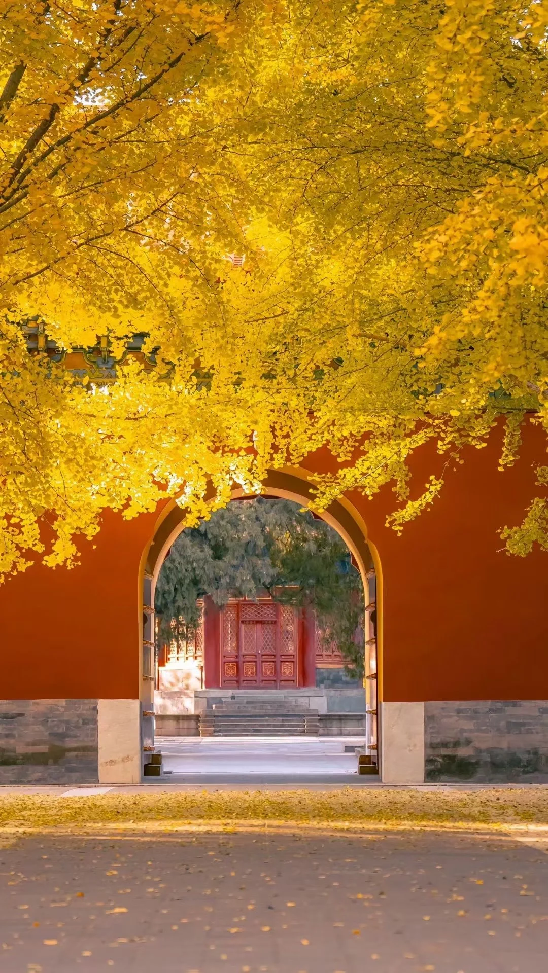 图片[12]-美到窒息！一入秋，中国就穿越了千年。-永豪博客