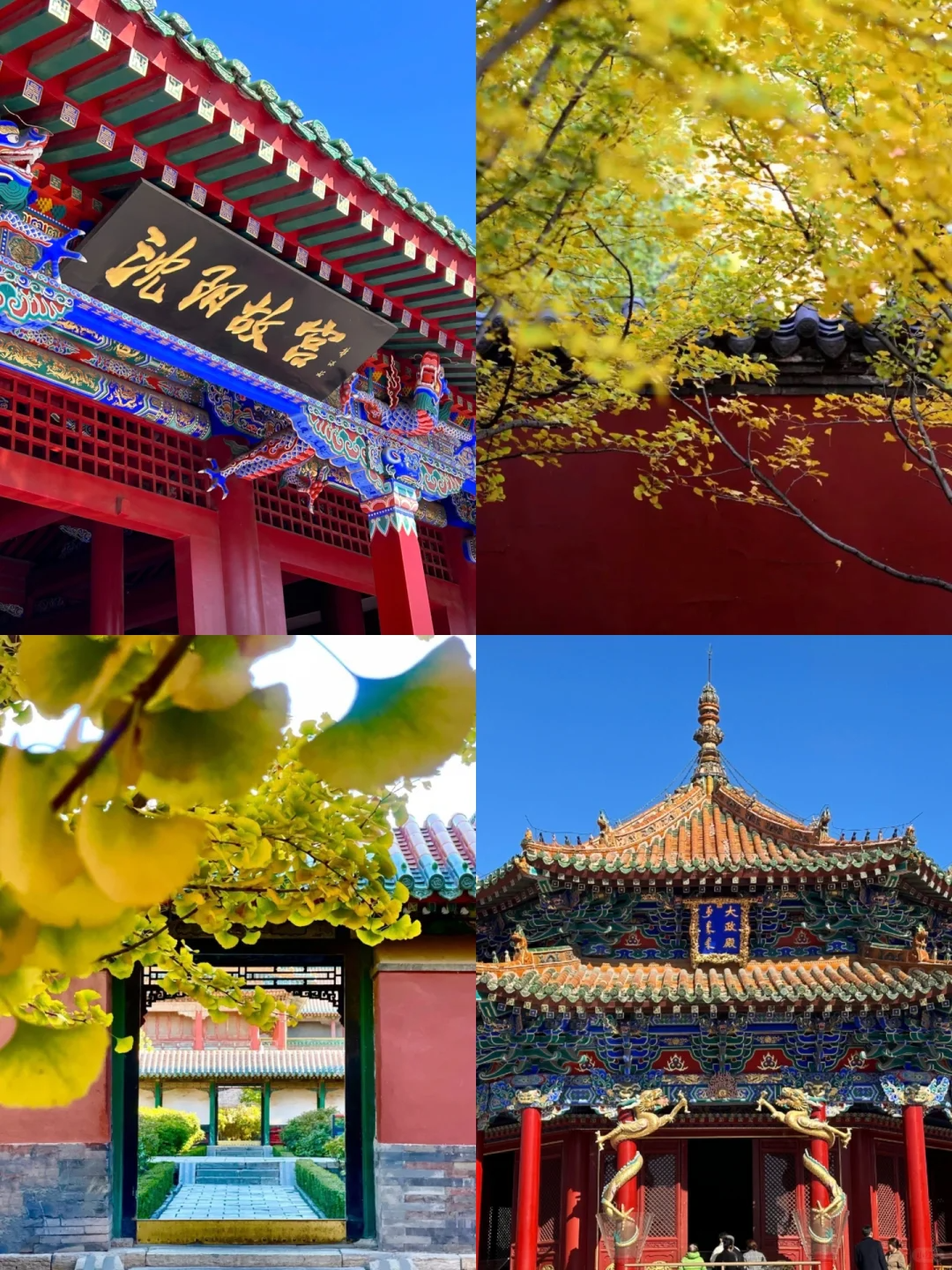 图片[49]-美到窒息！一入秋，中国就穿越了千年。-永豪博客