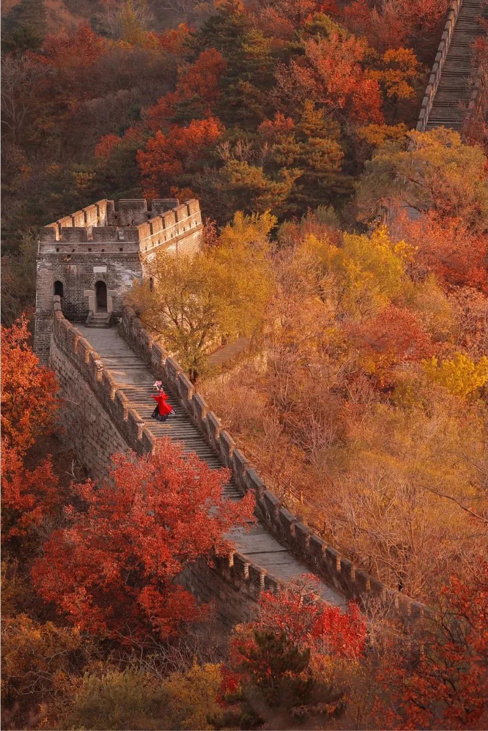 图片[10]-美到窒息！一入秋，中国就穿越了千年。-永豪博客