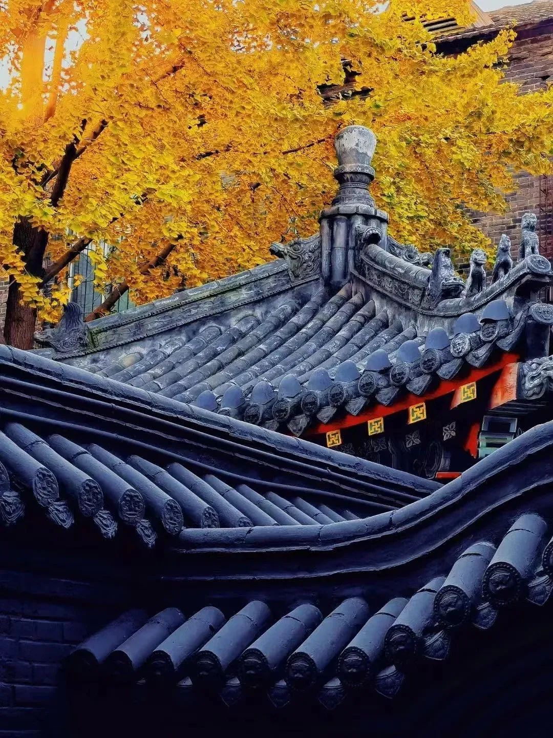 图片[51]-美到窒息！一入秋，中国就穿越了千年。-永豪博客