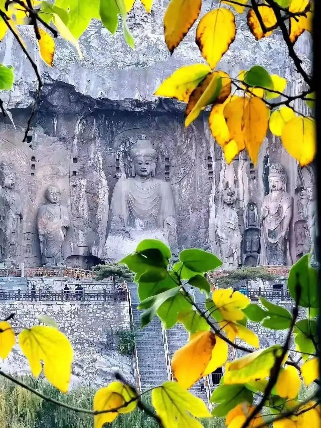 图片[44]-美到窒息！一入秋，中国就穿越了千年。-永豪博客