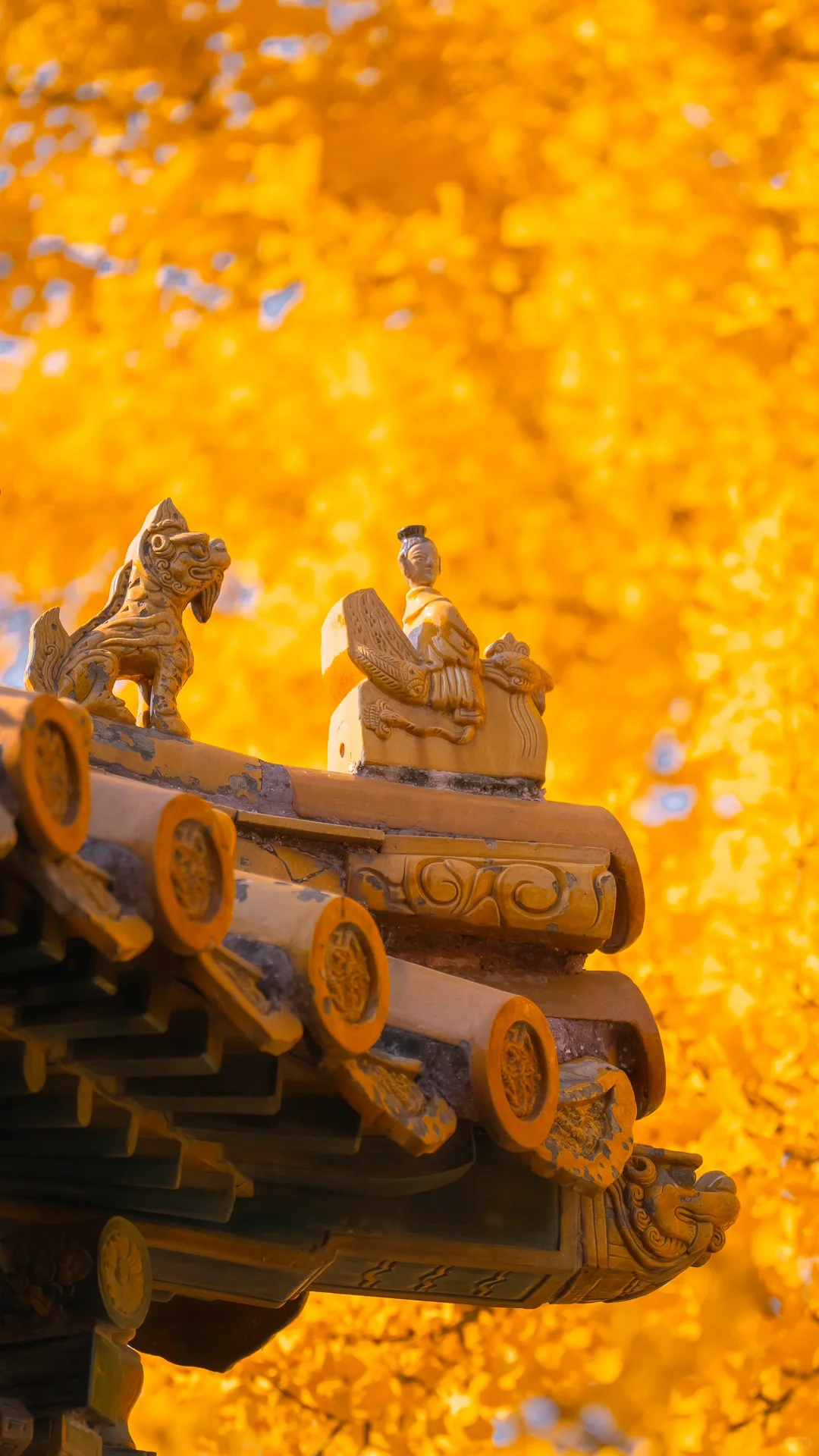 图片[6]-美到窒息！一入秋，中国就穿越了千年。-永豪博客