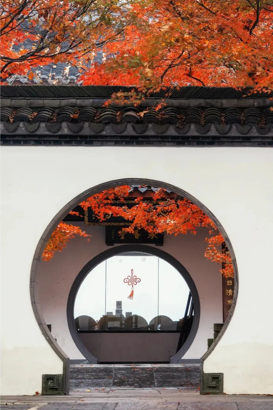 图片[14]-美到窒息！一入秋，中国就穿越了千年。-永豪博客