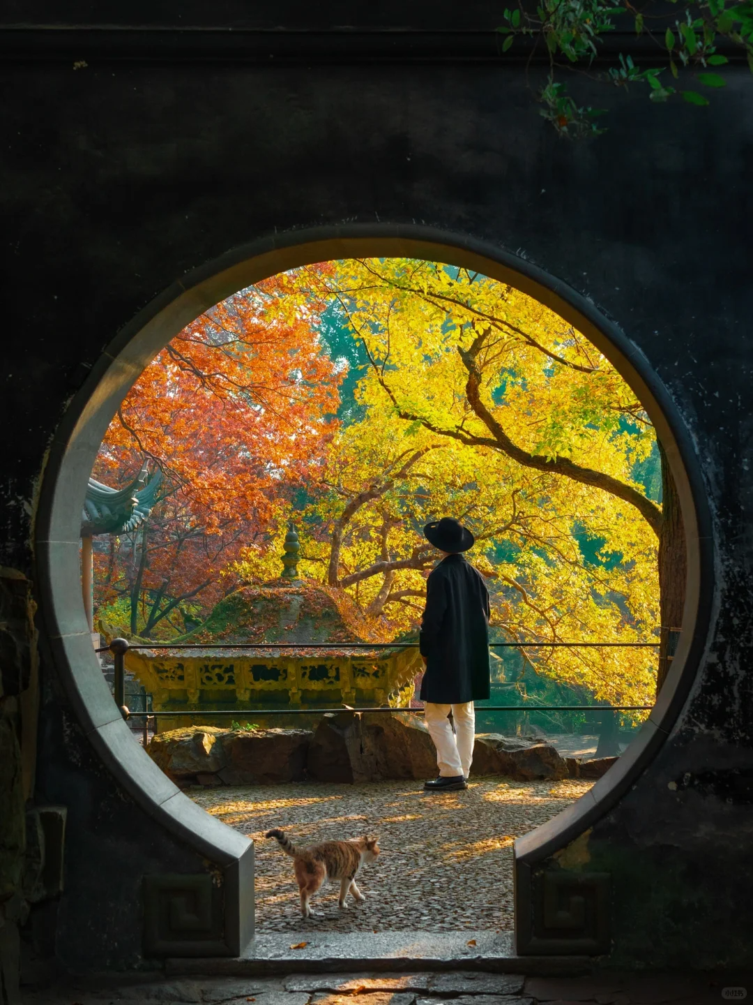 图片[19]-美到窒息！一入秋，中国就穿越了千年。-永豪博客