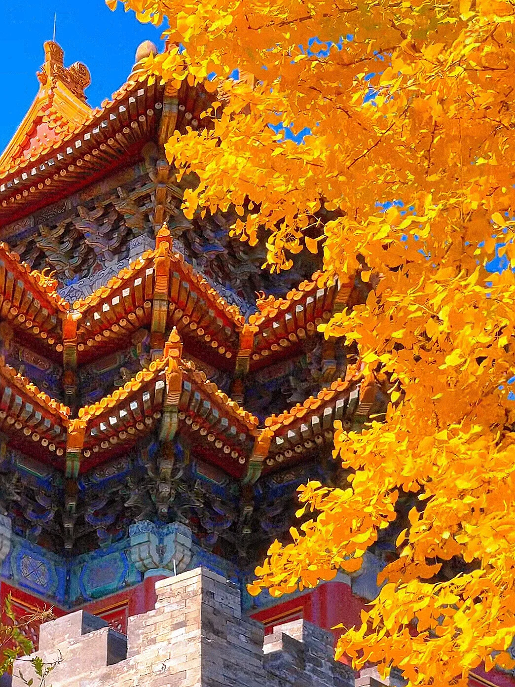 图片[5]-美到窒息！一入秋，中国就穿越了千年。-永豪博客