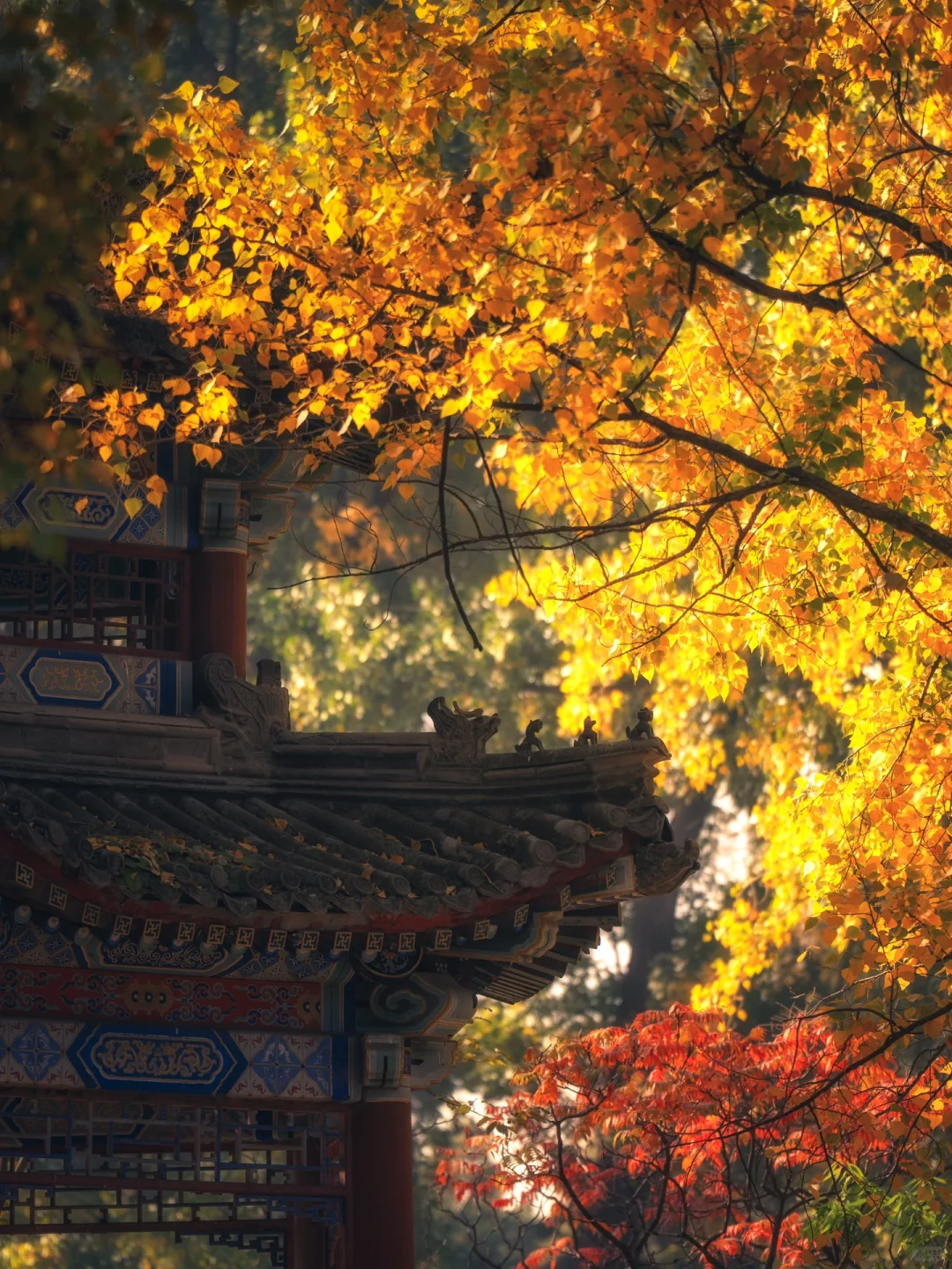 图片[9]-美到窒息！一入秋，中国就穿越了千年。-永豪博客
