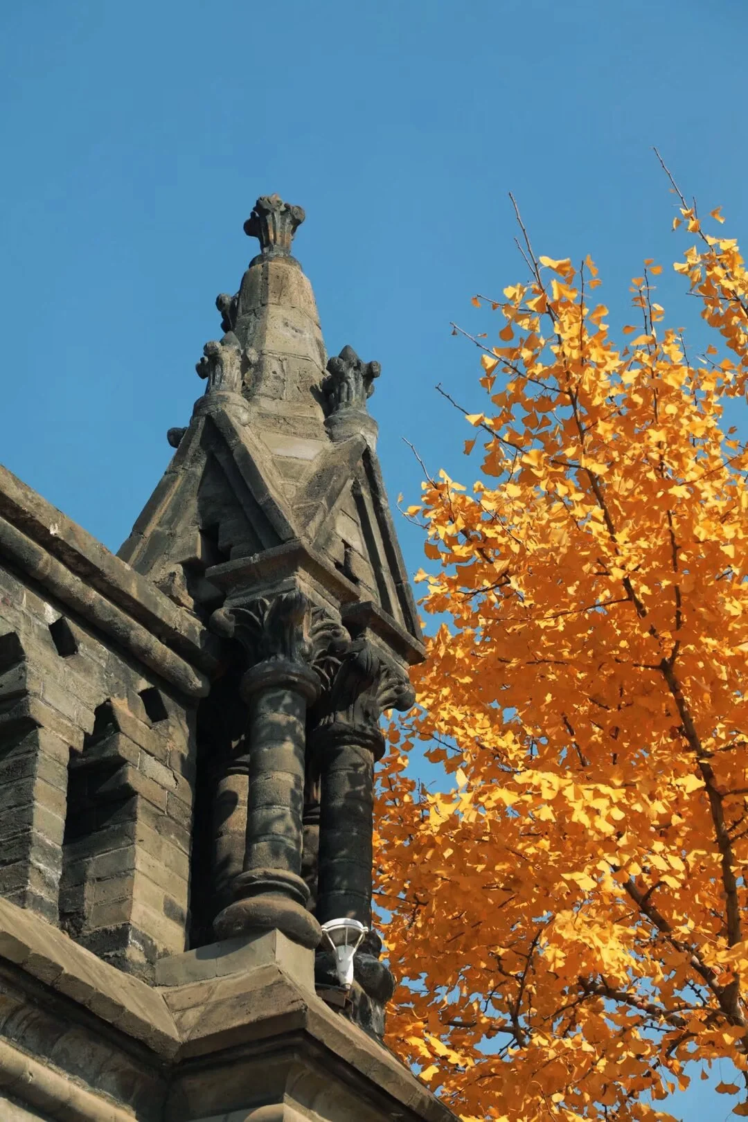 图片[48]-美到窒息！一入秋，中国就穿越了千年。-永豪博客