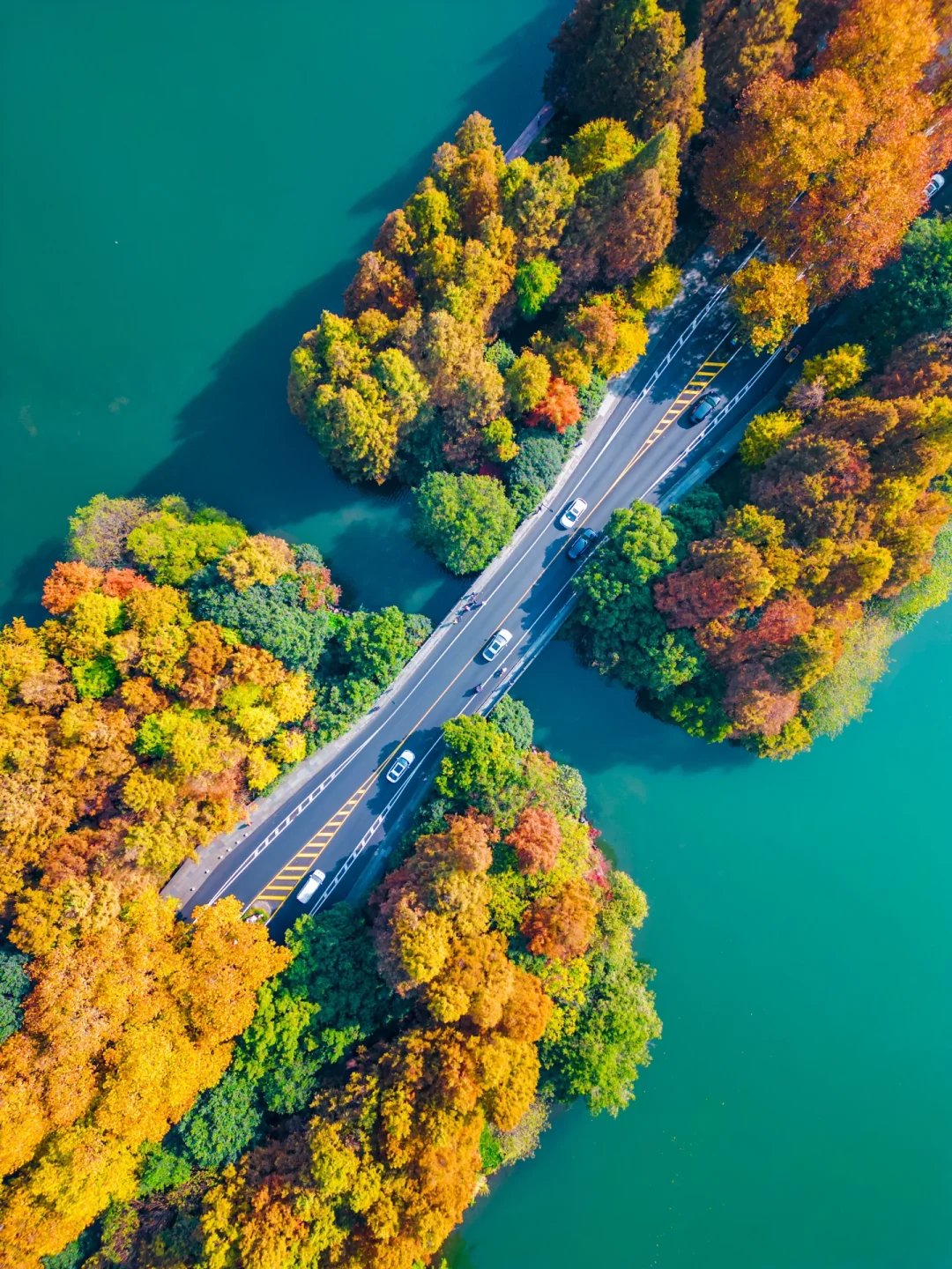 图片[13]-美到窒息！一入秋，中国就穿越了千年。-永豪博客