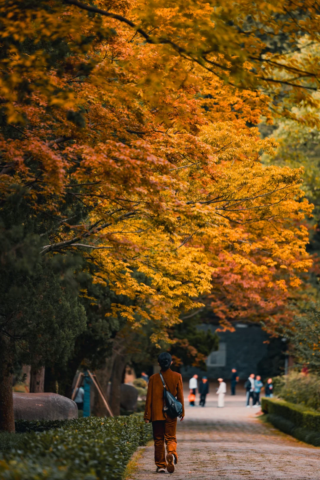 图片[26]-美到窒息！一入秋，中国就穿越了千年。-永豪博客