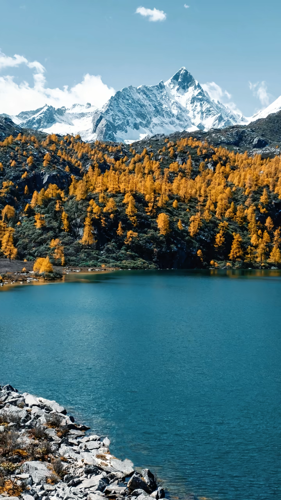 20251021000254973-1000006949