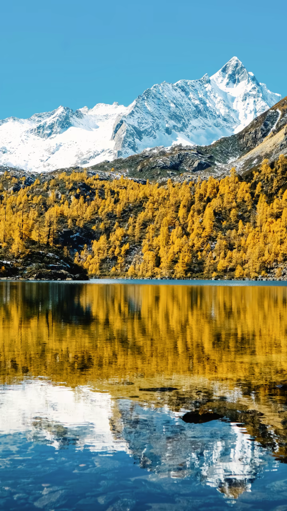 20251021000257758-1000006948