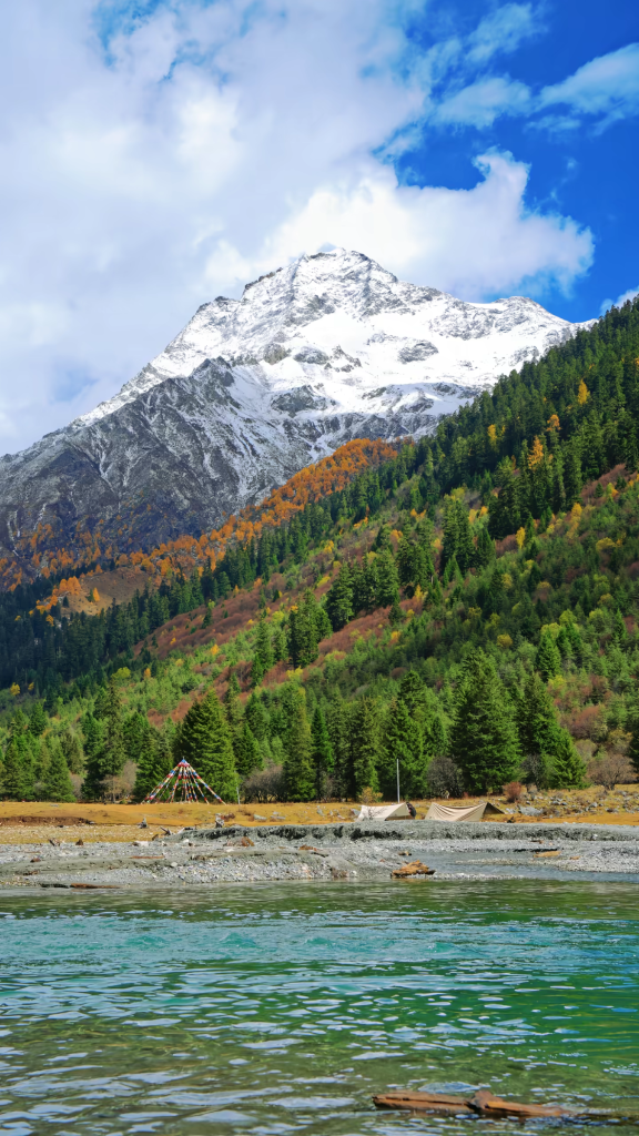 20251021000259916-1000006945